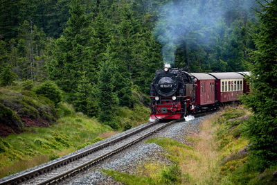 Train on railroad track amidst trees