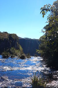 Scenic view of forest against clear blue sky