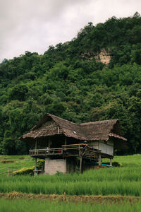 House on field against trees