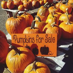 Orange pumpkins for sale at market stall