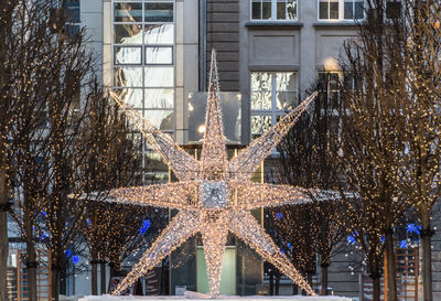 Illuminated christmas tree in city during winter