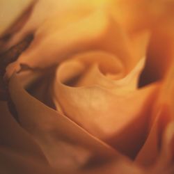 Close-up of human hand