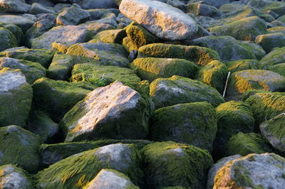 Full frame shot of stones