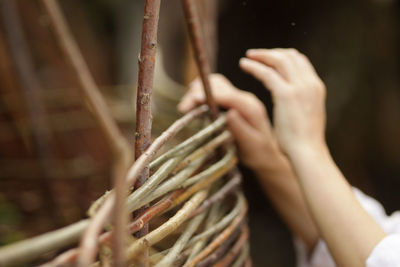 Cropped hands making wicker basket