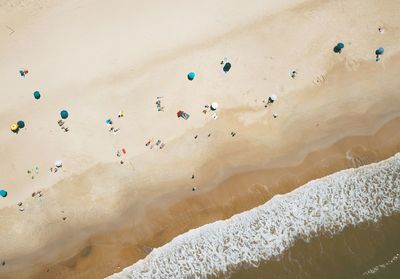 High angle view of sun umbrellas in beach by the sea