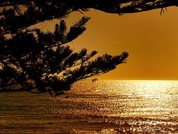 Silhouette tree by sea against sky during sunset