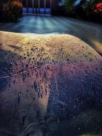 High angle view of wet shore during sunset