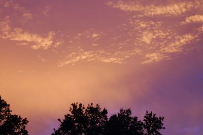 Low angle view of tree against cloudy sky