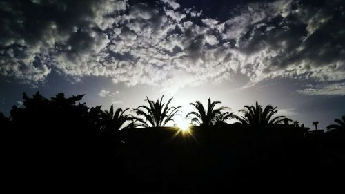 Silhouette trees against sky during sunset