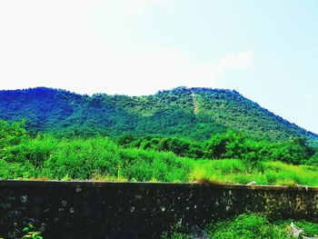 Countryside landscape against mountain range