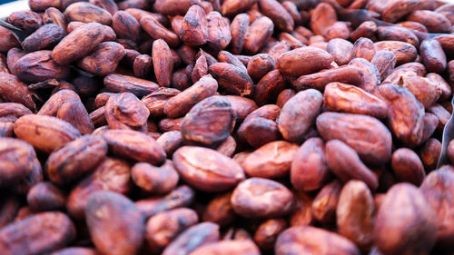 Cocoa seeds.