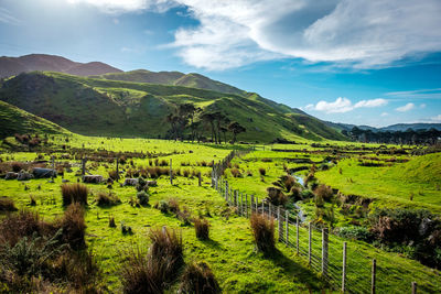 Scenic view of agricultural field against sky