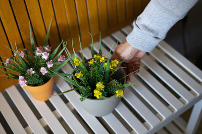 High angle view of person holding potted plant