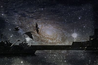 Illuminated lights at night