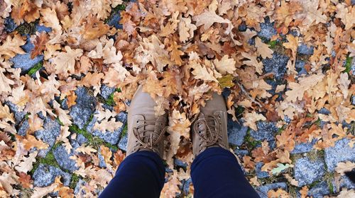 Low section of woman standing by autumn leaves