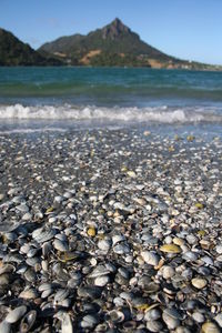 Scenic view of beach