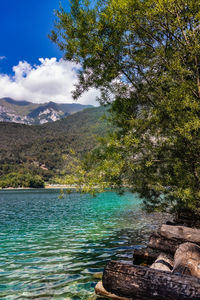 Scenic view of lake by trees against sky