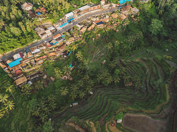 High angle view of trees on field in city