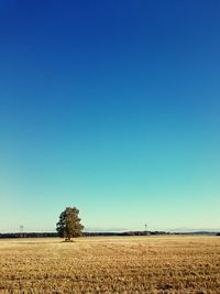 View of agricultural landscape against clear blue sky