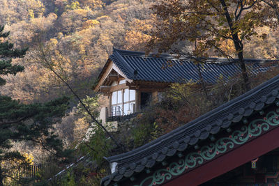 architecture