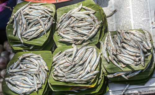 High angle view of fish for sale in market