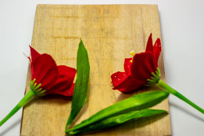 Close-up of red chili pepper on cutting board