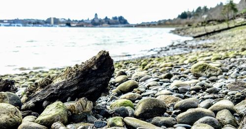 Close-up of pebbles on beach against sky