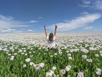 Person on flowering plant on field against sky