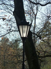 Low angle view of street light against sky