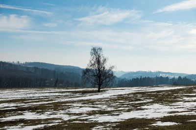 Scenic view of snow covered land against sky
