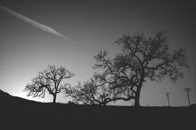 Low angle view of bare trees against sky