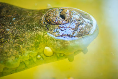 High angle view of water drops on leaf