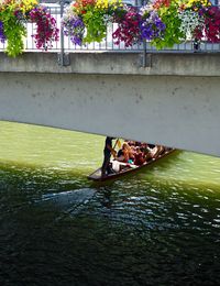 View of bridge over river