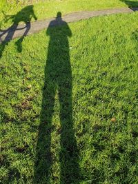 Shadow of man and woman standing on grassy field