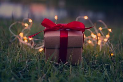 Close-up of christmas decoration in box