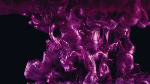 Close-up of purple ink in water against black background