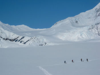 Distant view of unrecognizable climbers roped up on a glacier on a sunny day in the alaska range