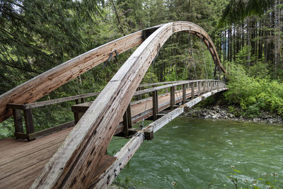 Bridge over river in forest