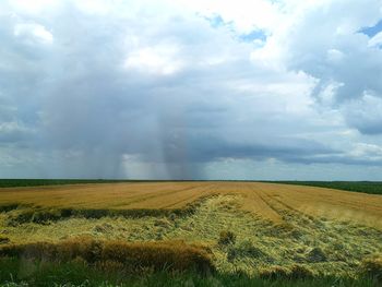 Scenic view of agricultural field against sky