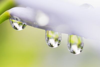 Close up of bubbles