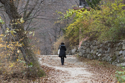 Rear view of man walking on footpath amidst plants during winter