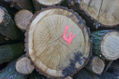 Detail shot of wood logs