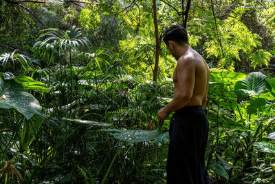 Young man, doing yoga or reiki, in the forest very green vegetation, in mexico, guadalajara, bosque 