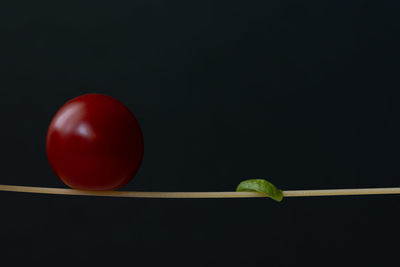 Close-up of tomato, noodle and basil against black background