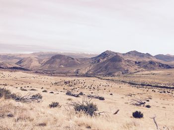 Scenic view of desert against sky