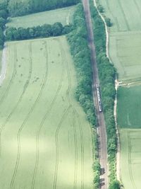 Scenic view of agricultural field