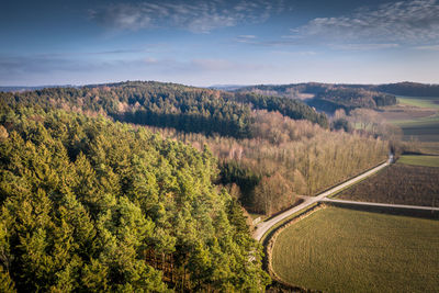 Aerial view of trees on landscape against sky