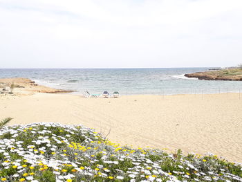 Scenic view of sea against clear sky