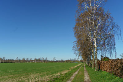 Spring time in the german muensterland