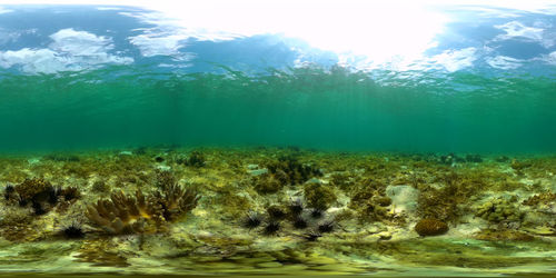 water